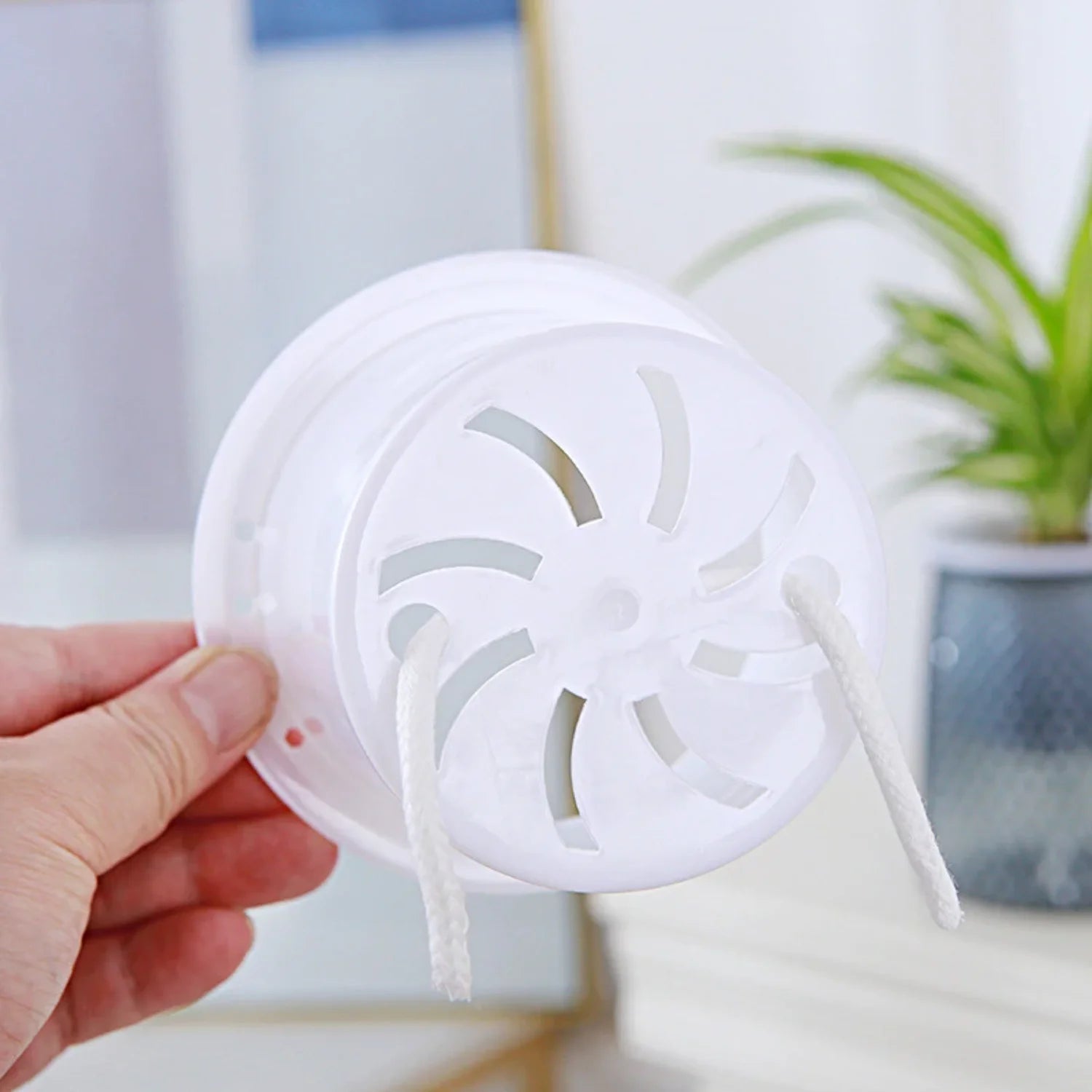 Transparent Hydroponic Flower Vase – Modern Self-Watering Plant Display