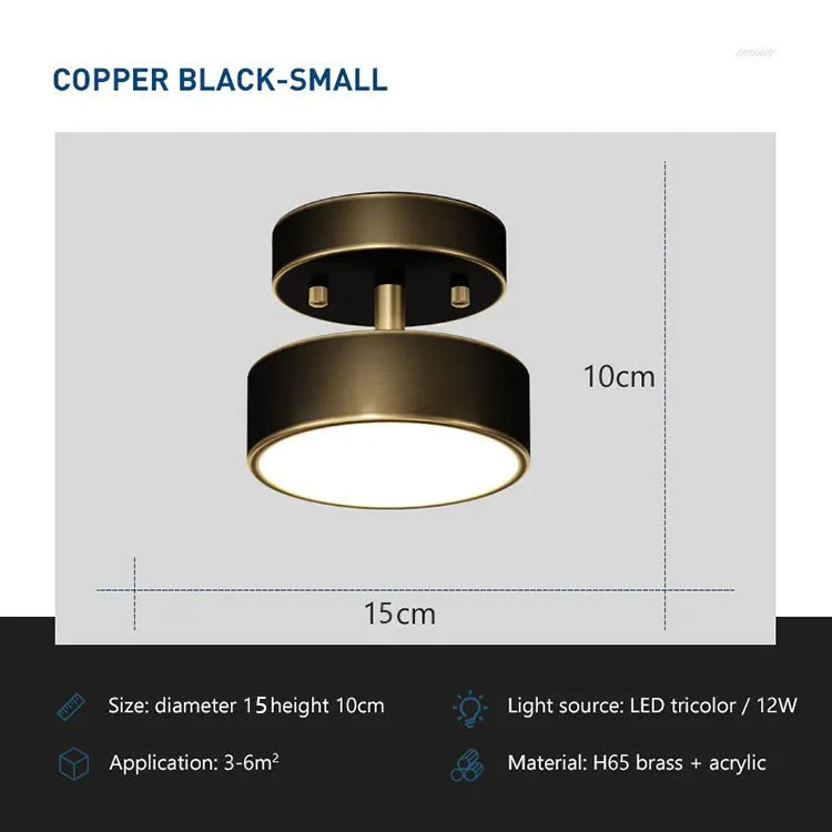 Modern Rotatable Copper LED Ceiling Light
