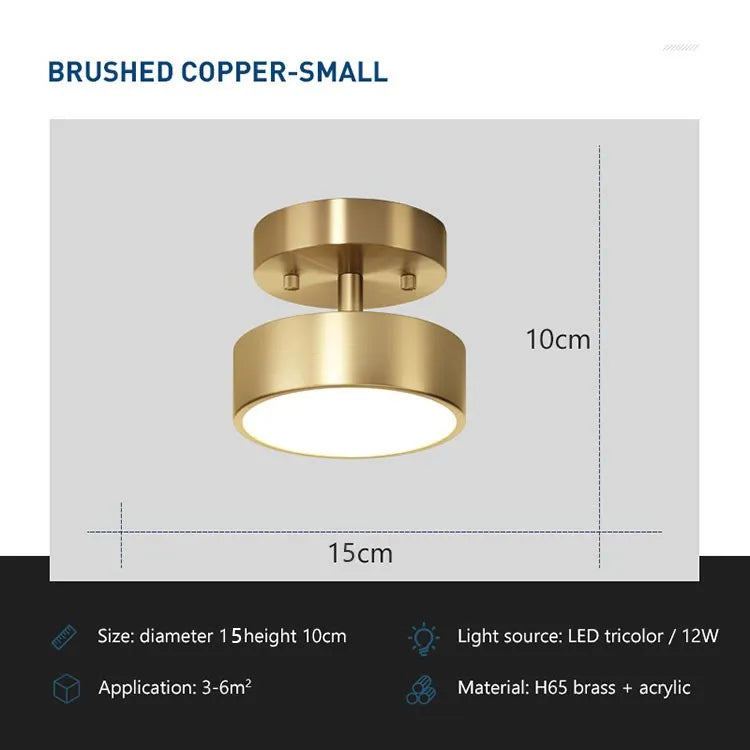 Modern Rotatable Copper LED Ceiling Light