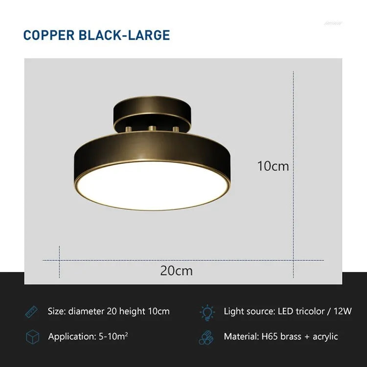 Modern Rotatable Copper LED Ceiling Light